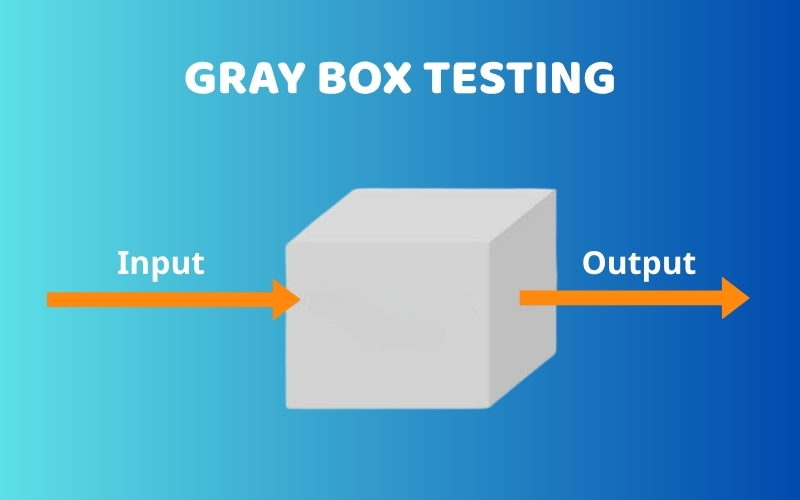 Kiểm thử hộp xám (Gray Box Testing)