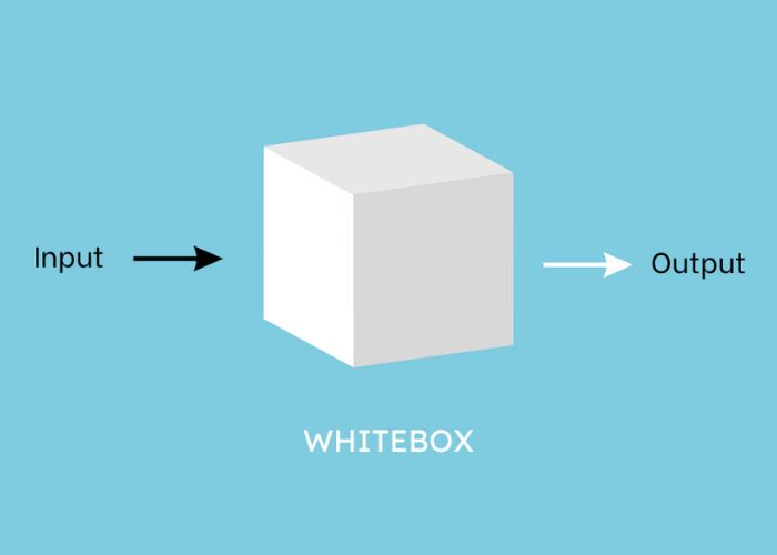 White Box Testing là gì?