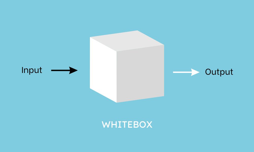 White Box Testing là gì? Phân loại và quy trình kiểm thử hộp trắng