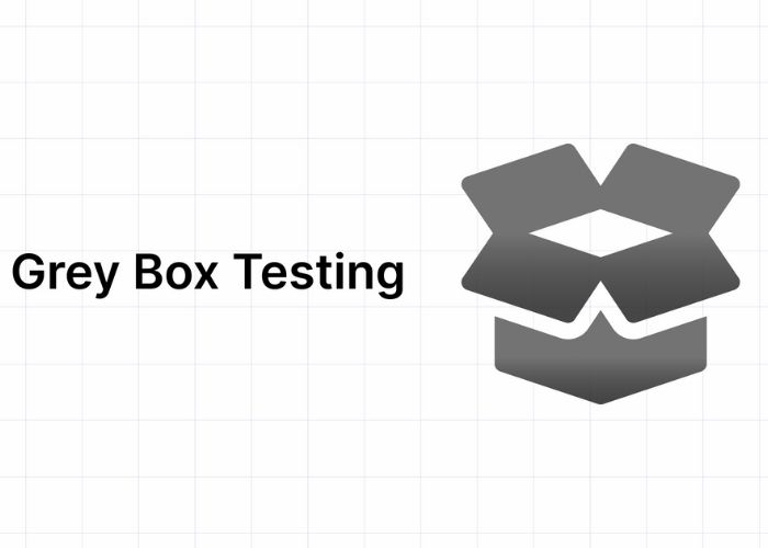 Gray Box Testing (Kiểm thử hộp xám) là gì?