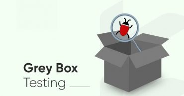 Gray Box Testing là gì? Phân biệt và quy trình kiểm thử Gray Box